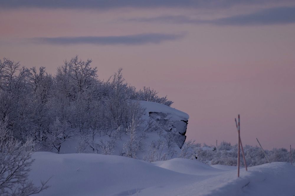Photograph by Ольга Одаренко