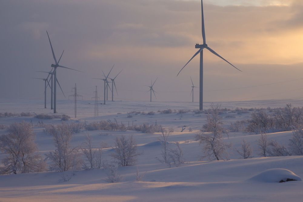 Photograph by Ольга Одаренко