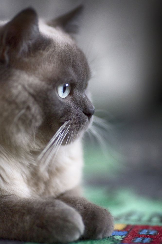 Photograph by Tatiana Kurilas