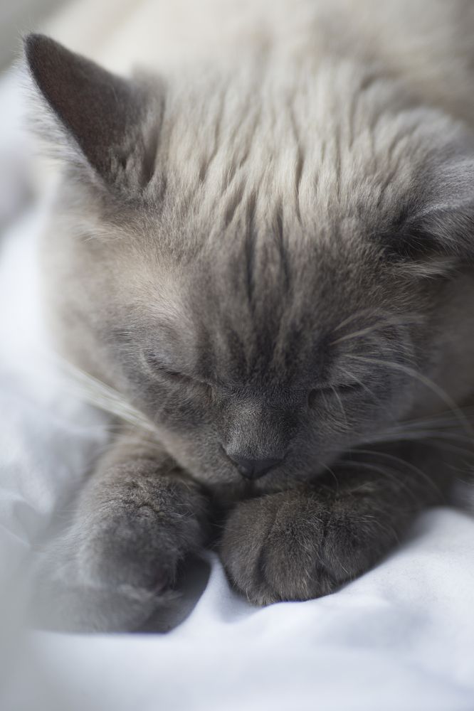 Photograph by Tatiana Kurilas