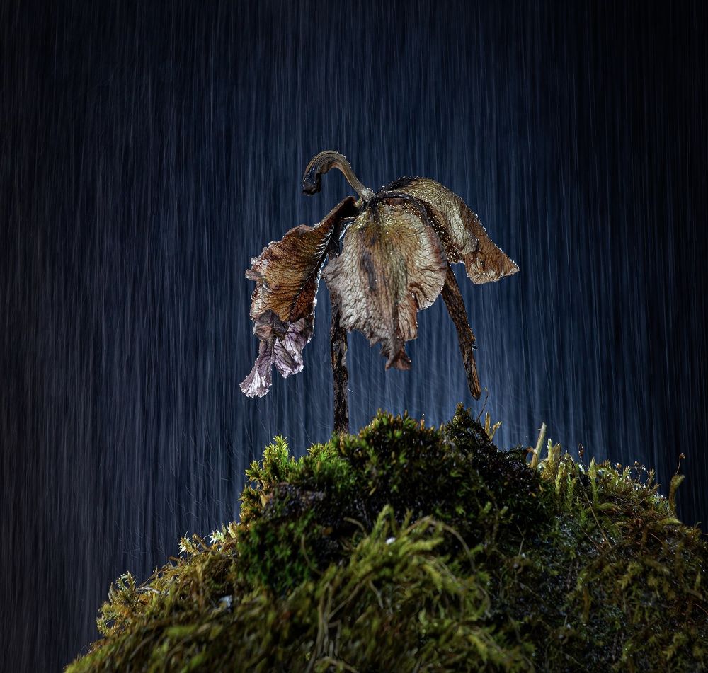 Фотография автора Черновол Валентин