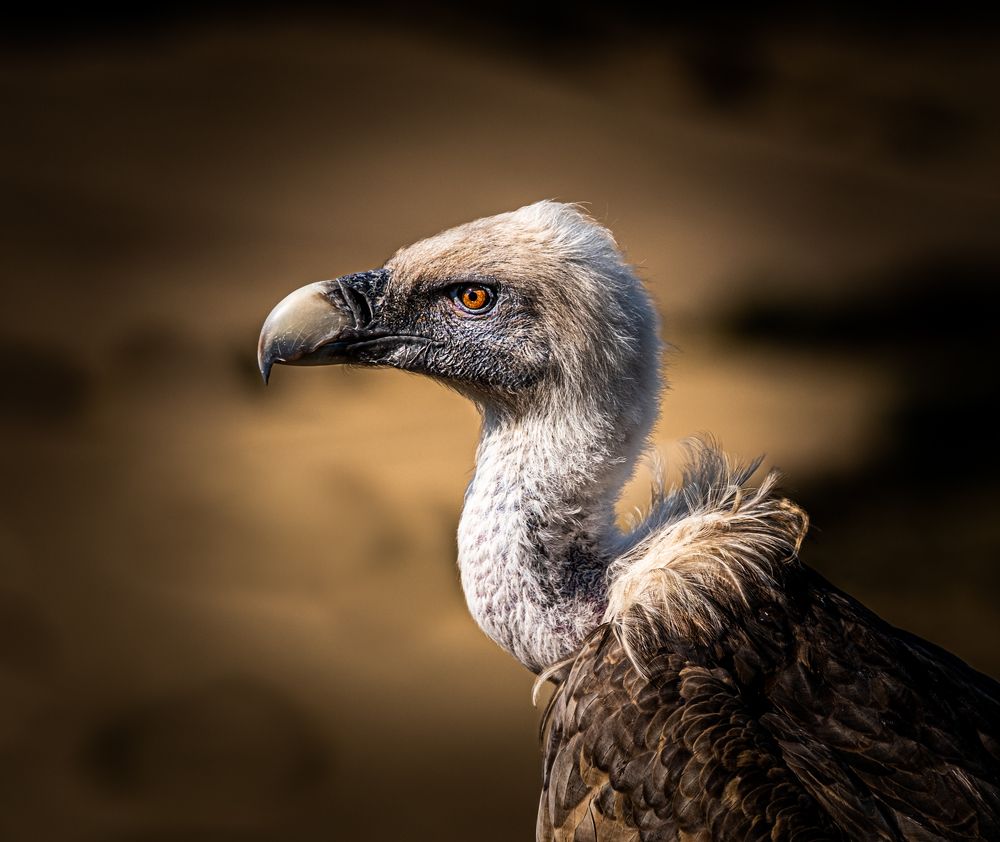 Photograph by Amelia Pardo