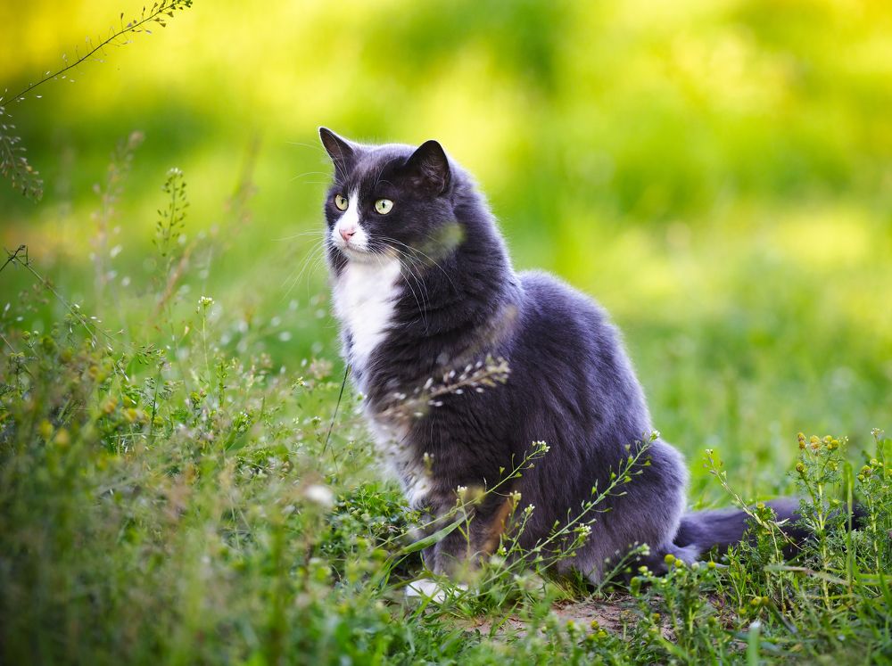 Photograph by Елена