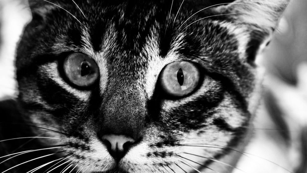 Photograph by Eylem Barış