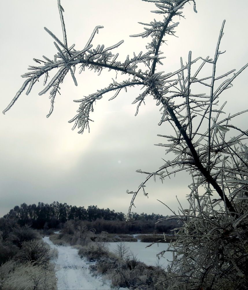 Photo #8834226
