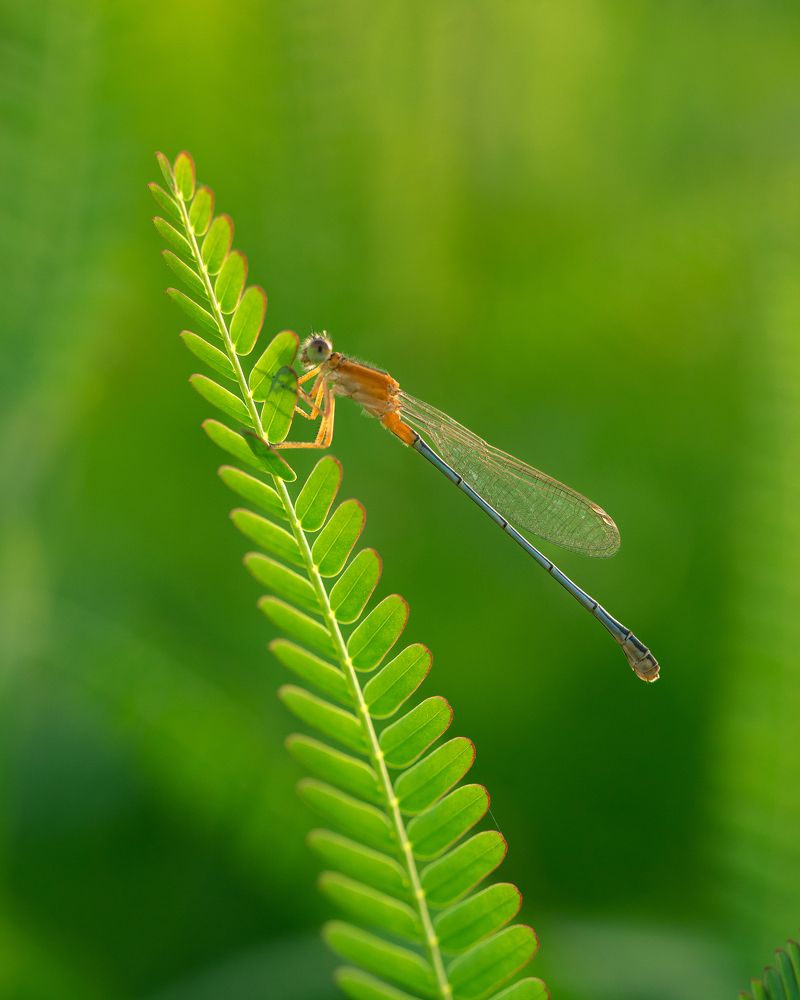Photograph by Hemraj Chavhan A