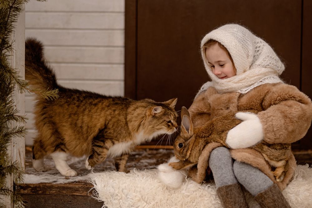 Фотография автора Полина Аксенова