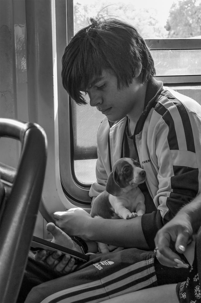 Photograph by Fabián Gómez