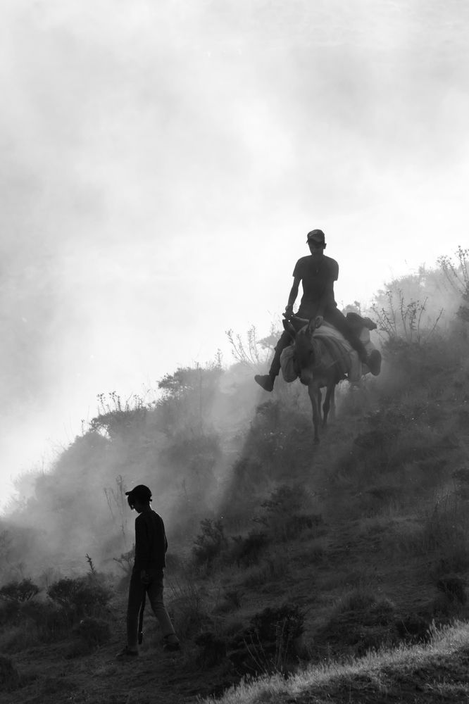 Фотография автора Aylin Turnator