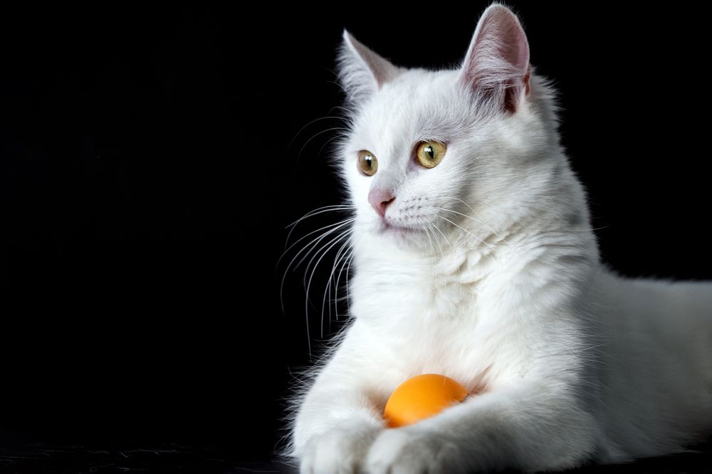 Photograph by Анна Печерская