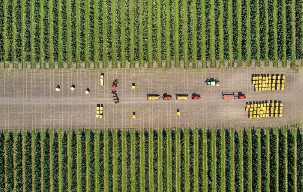 Photograph by Денис Третьяков