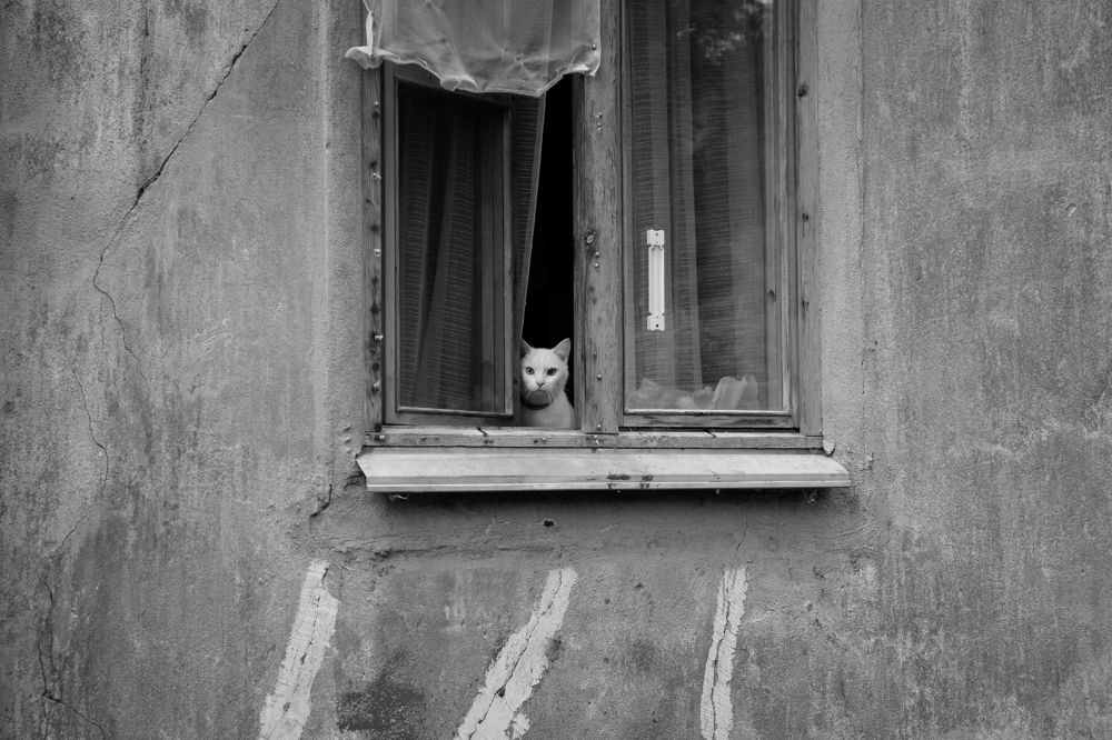 Photograph by Наталья Кулемина