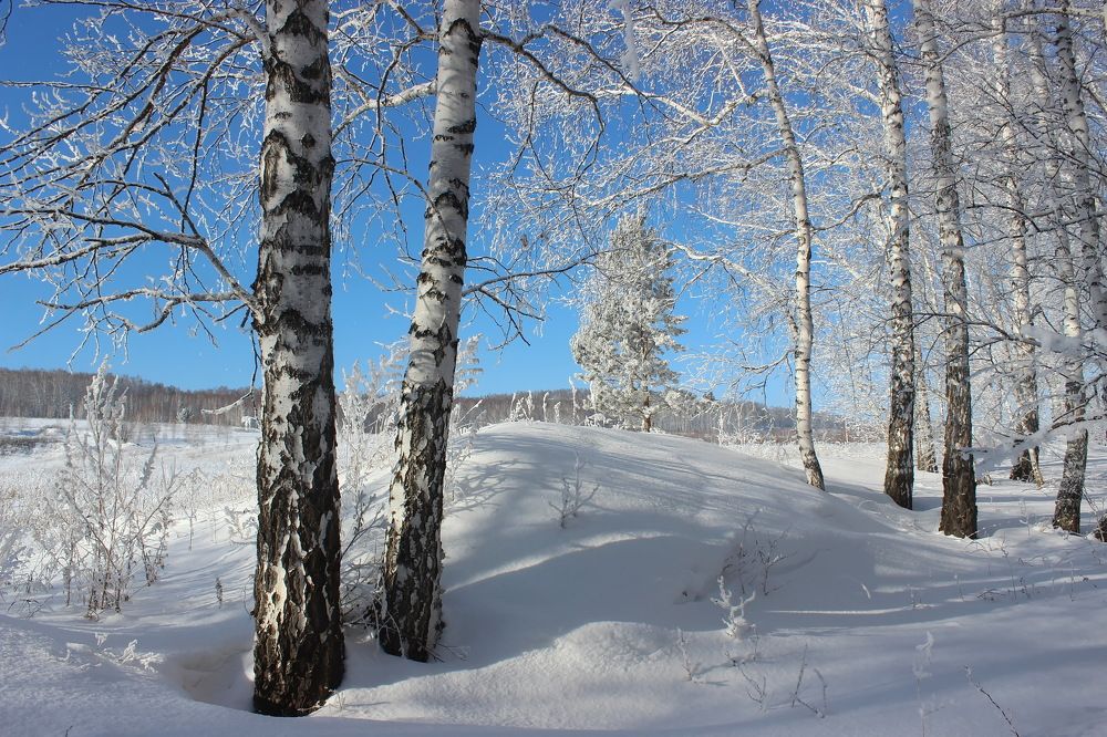 Photograph by Наталья Юрова
