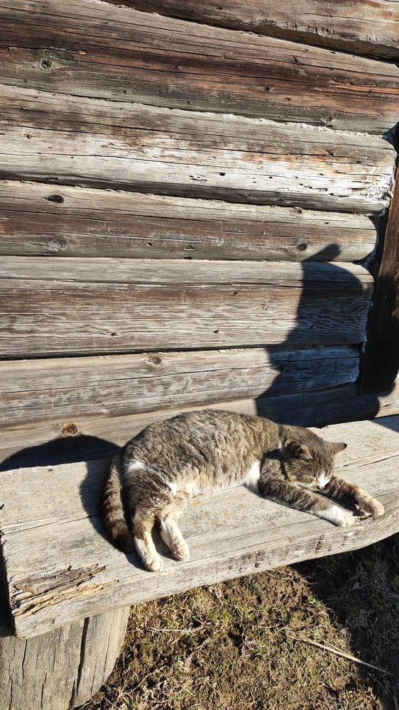 Photograph by Глушакова Татьяна Николаевна