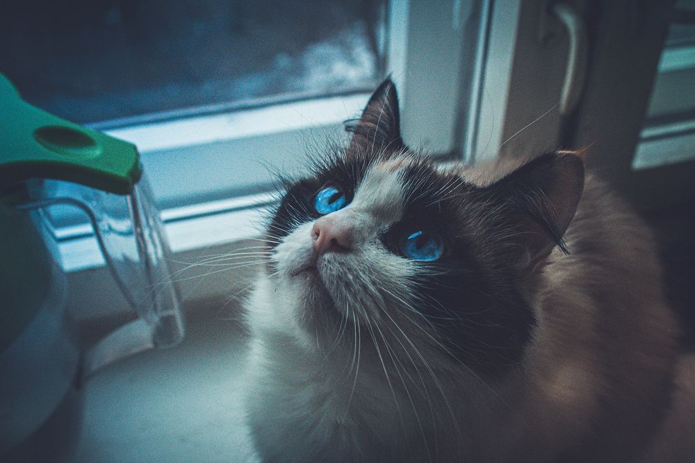 Photograph by Виктория Тулина