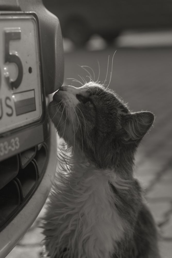 Photograph by Виктория Тулина