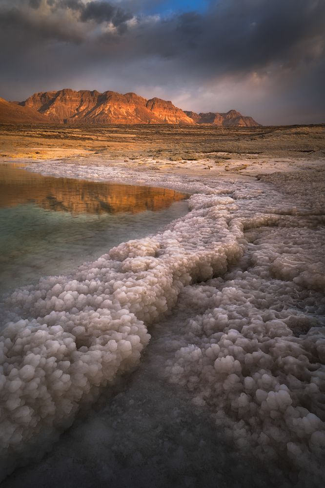 Photograph by Idan Livni