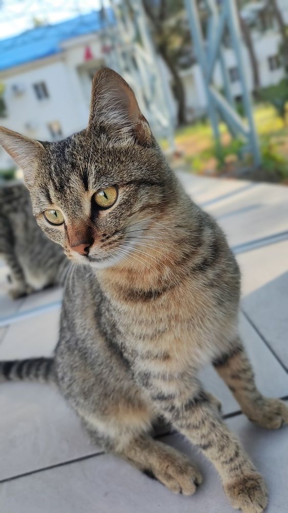 Photograph by Николай Поляков