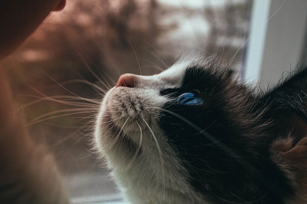 Photograph by Виктория Тулина