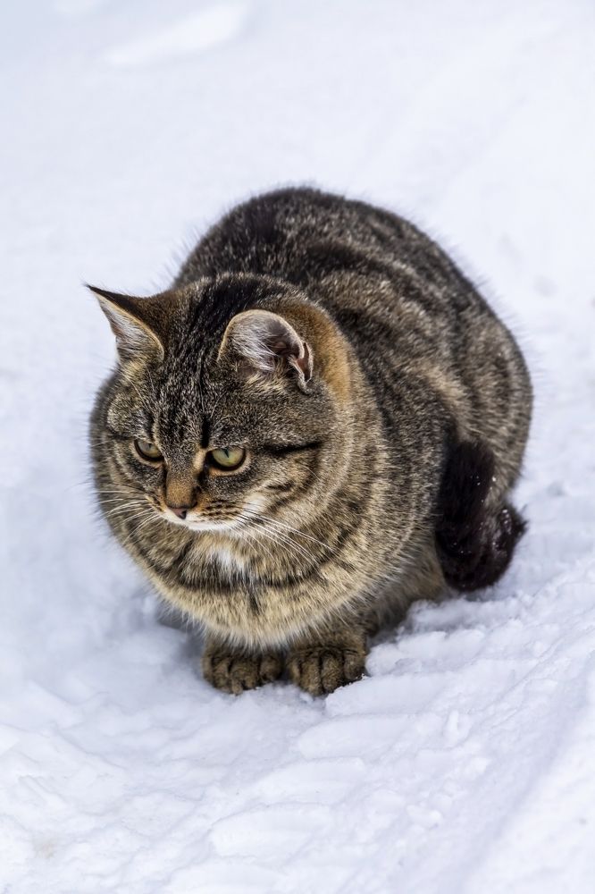 Photograph by Крючкова Ольга