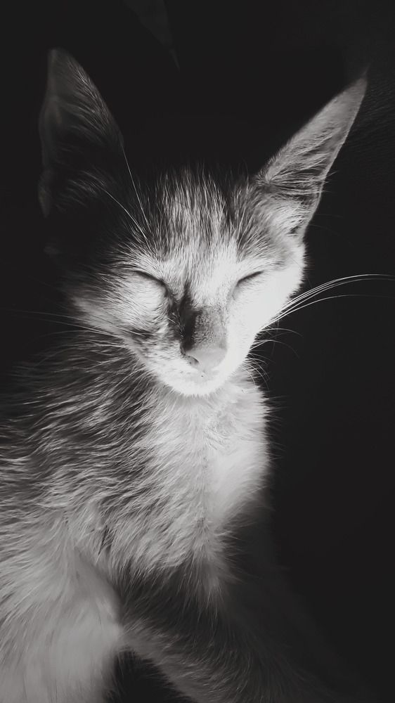 Photograph by Salwa Yousif