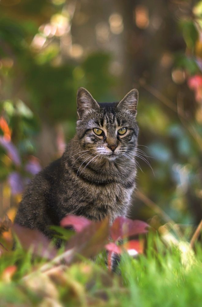 Photograph by SHE (Aiya) Таня