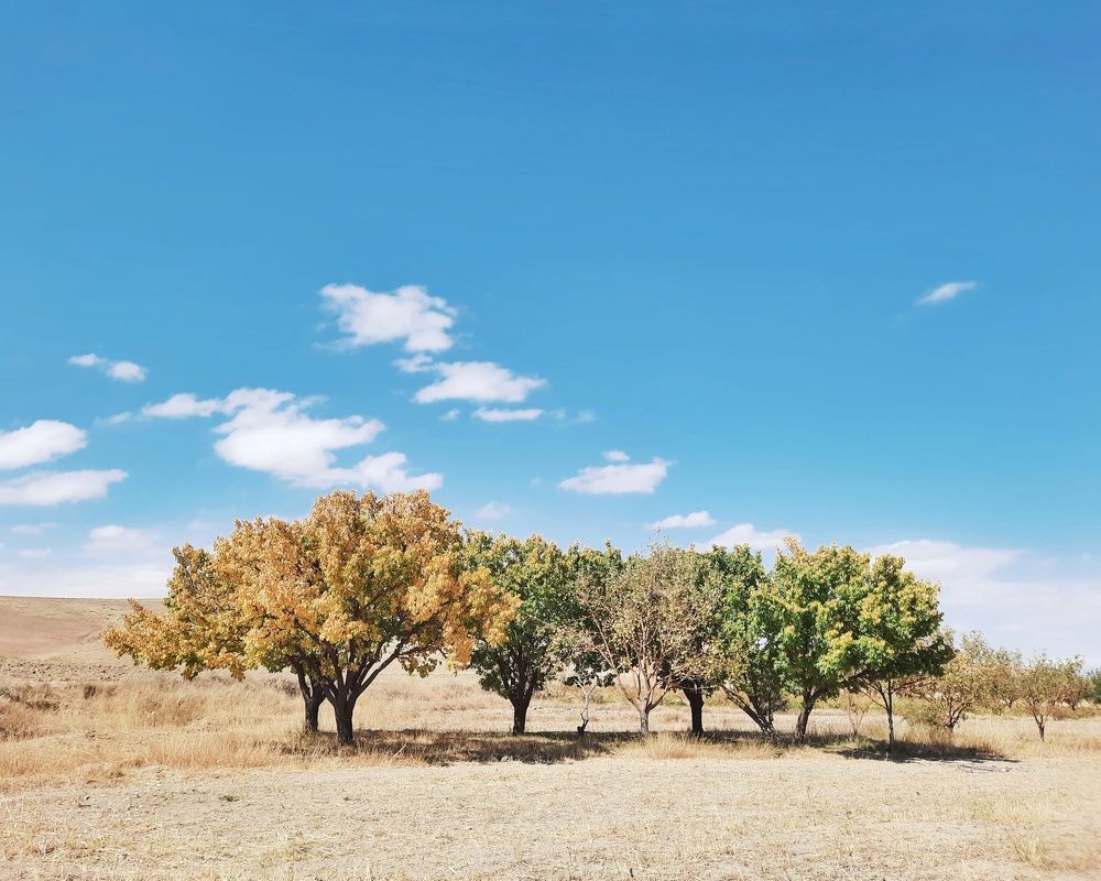Photograph by Javad Najafi