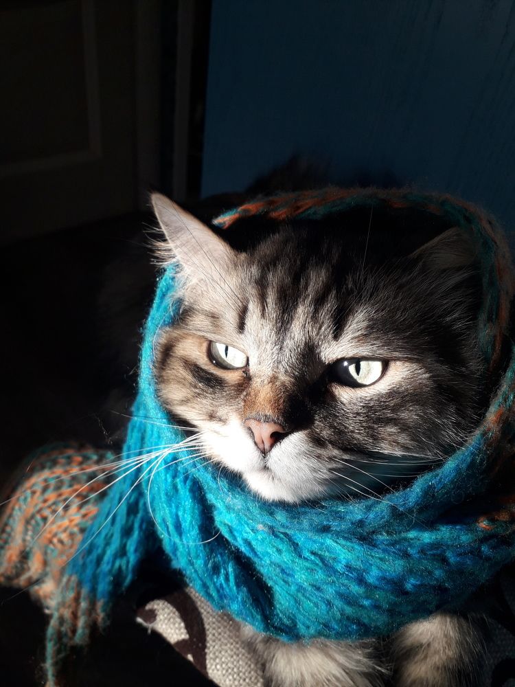 Photograph by Elena Strelkova