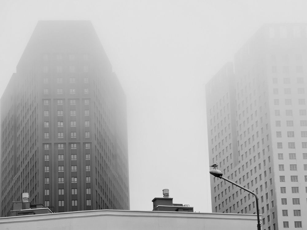 Photograph by Миха Скутин