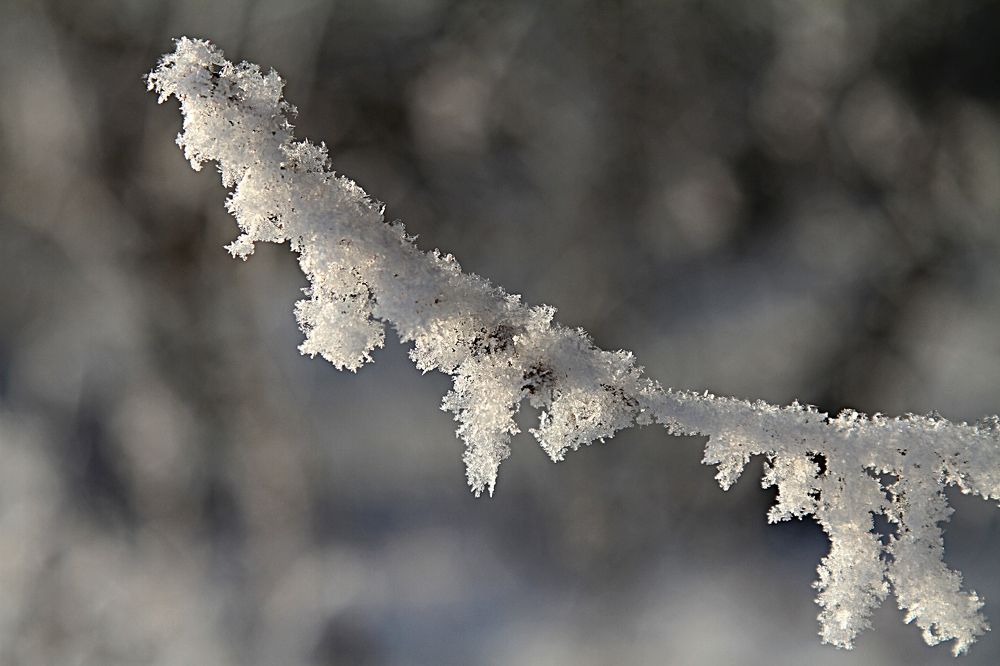 Photograph by Ольга Глухарёва