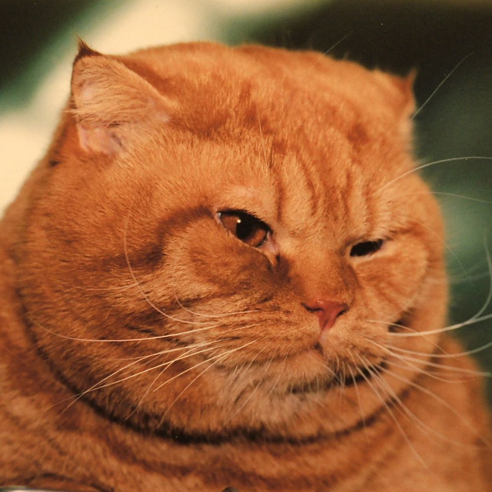 Photograph by Михаил Копанс