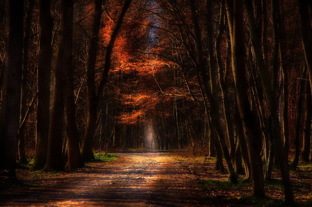 Photograph by  Владимир