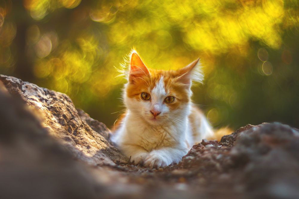 Photograph by SHE (Aiya) Таня