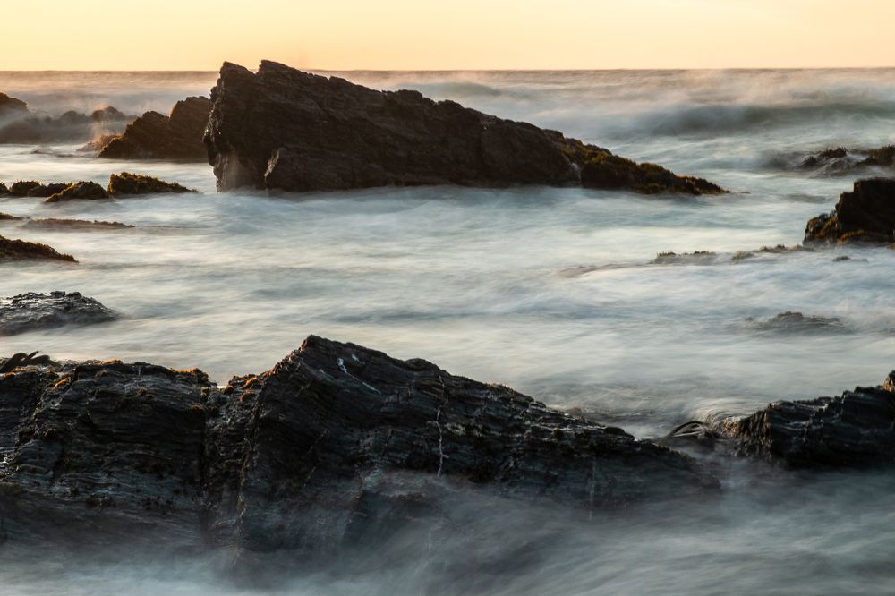 Photograph by Sandra Alvarez