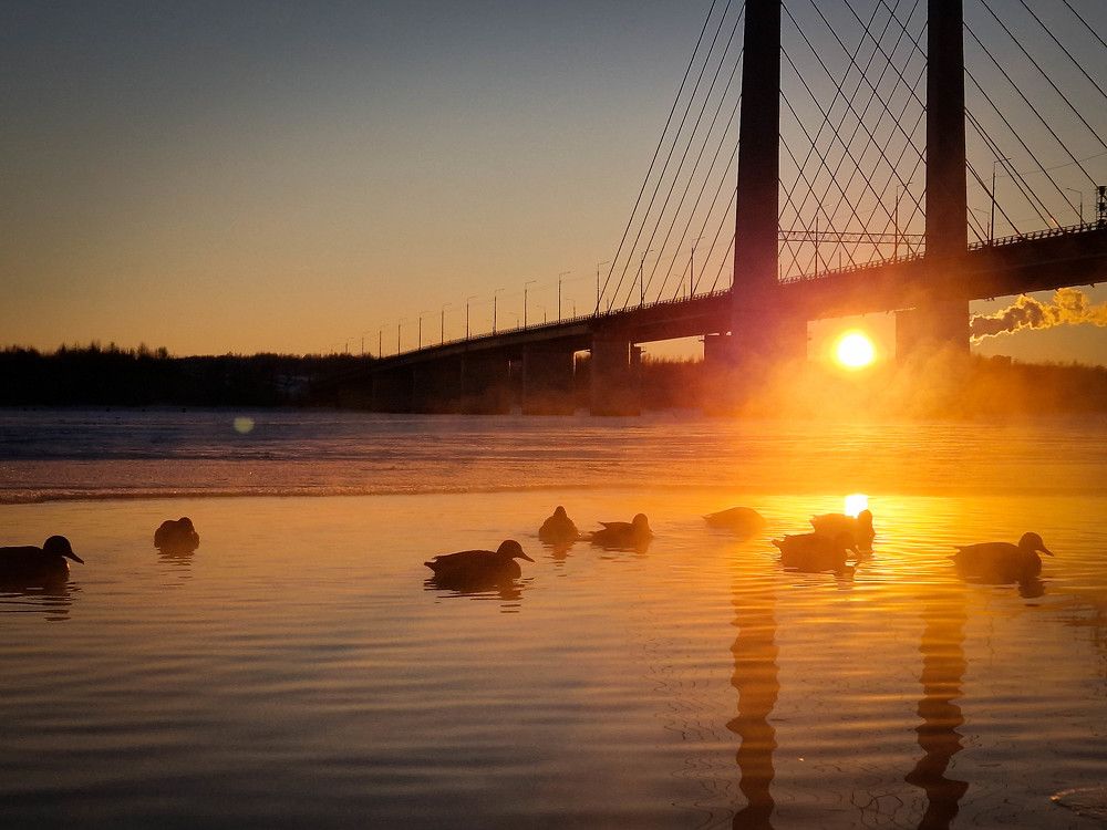 Photograph by Татьяна Пименкова