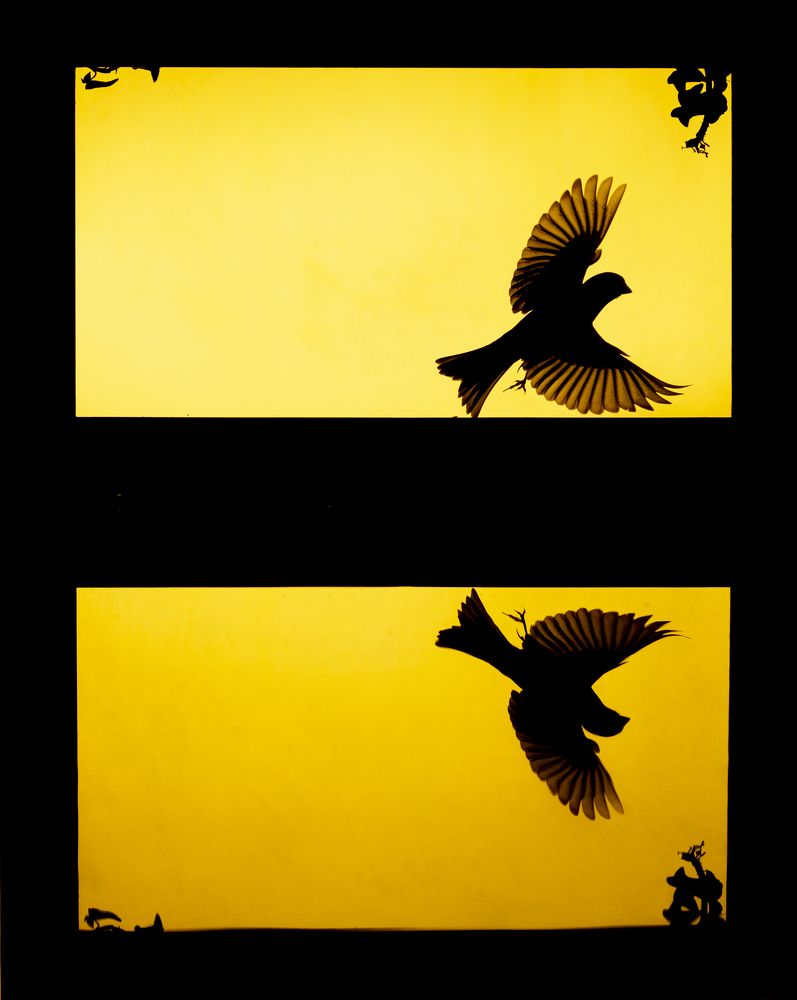 Photograph by Luisa Lynch