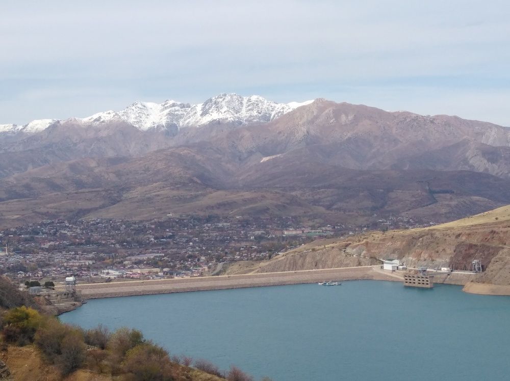 Photo #8834932