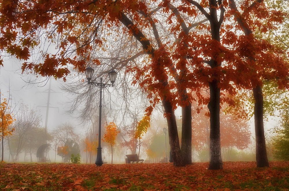 Photograph by  Владимир