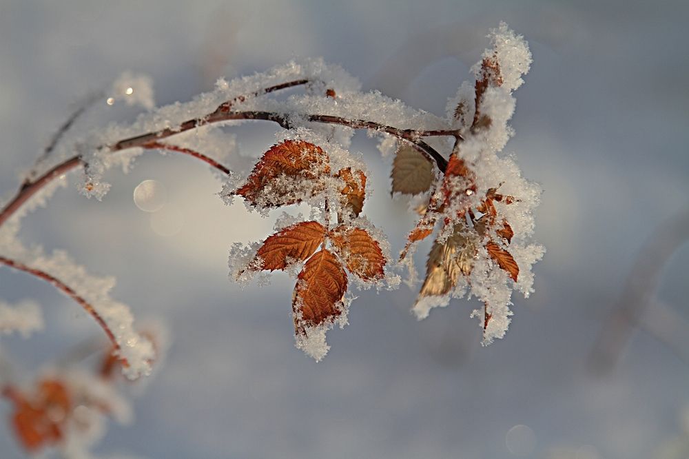 Photograph by Ольга Глухарёва