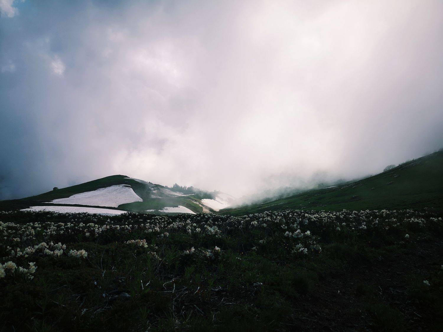 Photo #8835126