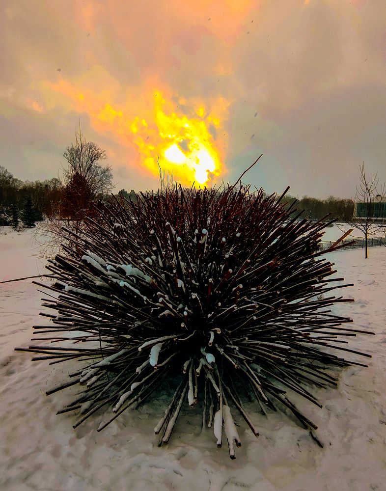 Рождение звёзды.