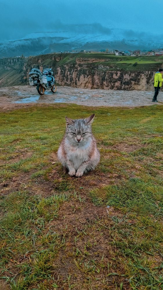 Фотография автора Всеволод Юрша