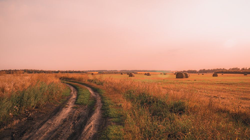 Вечер на Орловщине