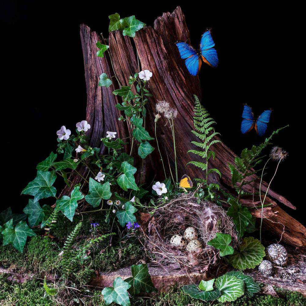 Photograph by YANA SLUTSKAYA