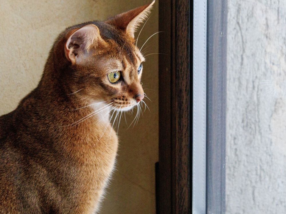 Photograph by Lyudmila Klimanova