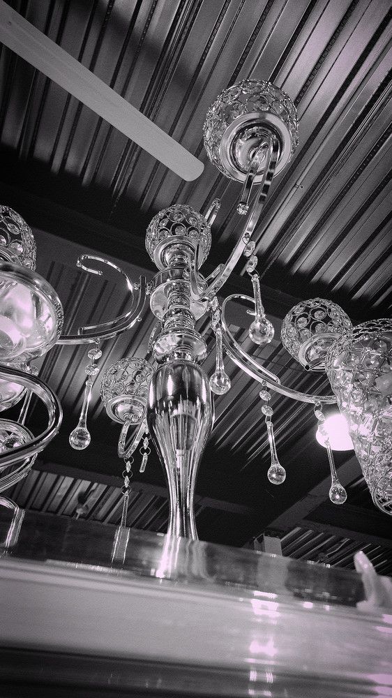Photograph by Arelia Manderson