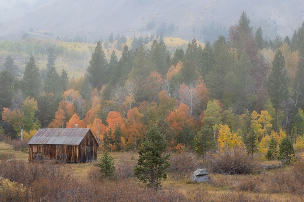 Photograph by David Grenier