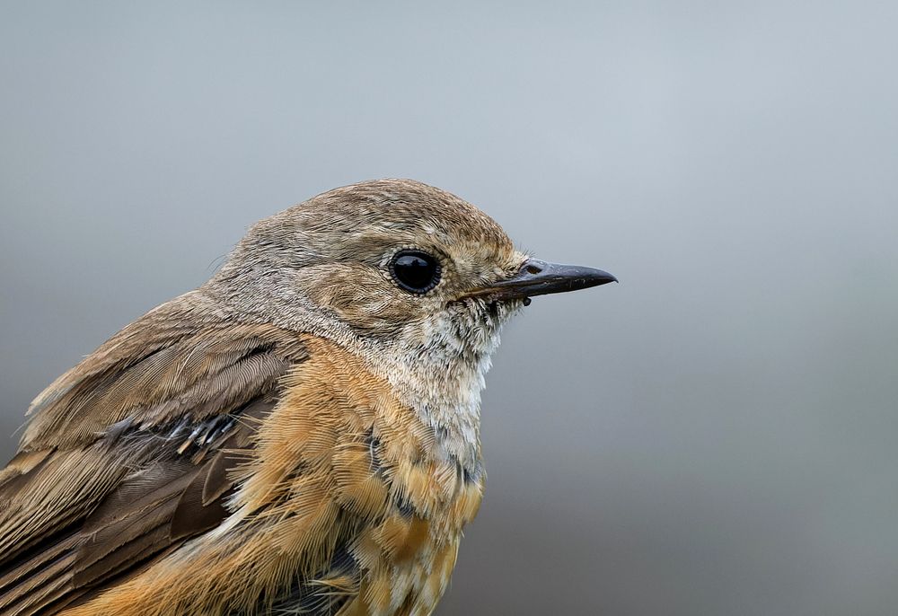 Photograph by Александр Перегудов