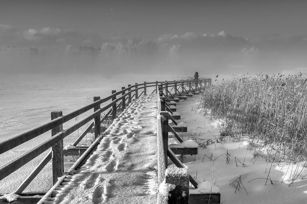 Photograph by Janis Serdienis