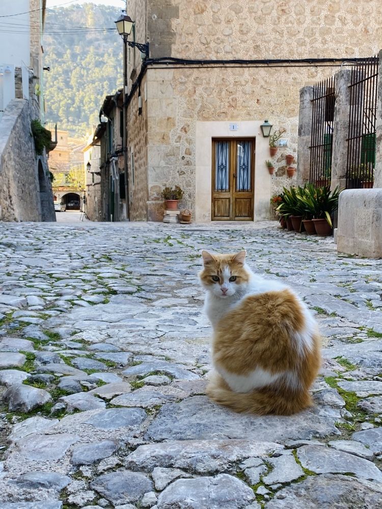 Photograph by Наталья Посашко